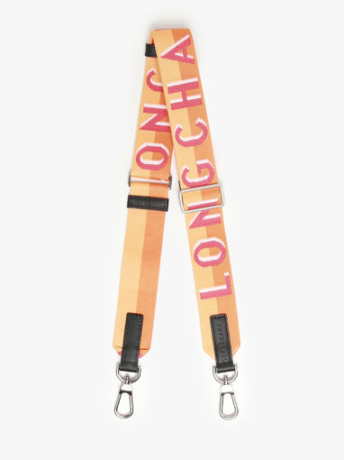 Longchamp Bandoulire ombre Juwelen Veelkleurig